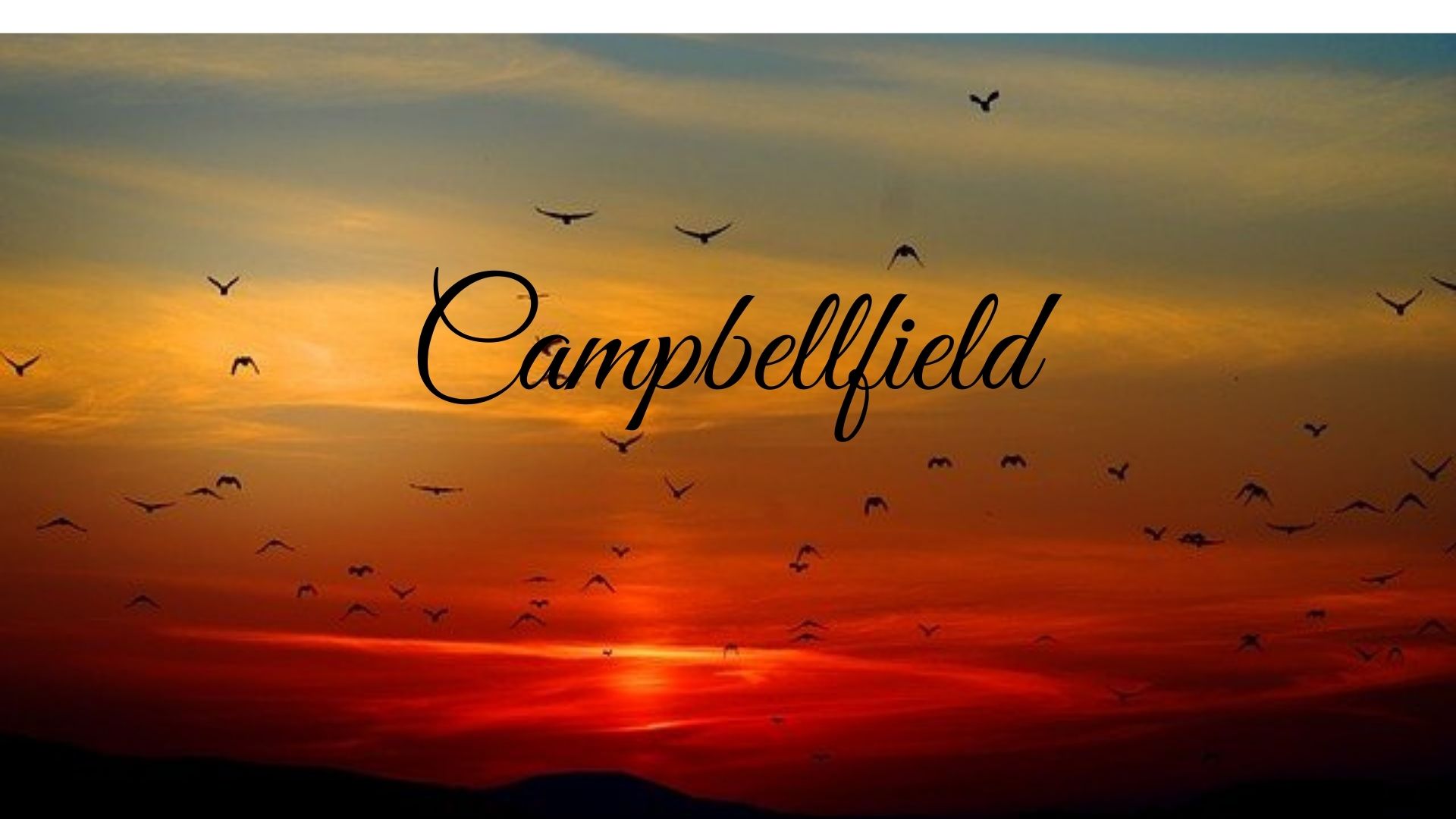 Campbellfeild office- cgm freights